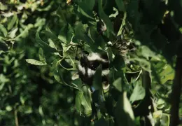 Lindsay Photo Shoot 005