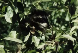 Lindsay Photo Shoot 006