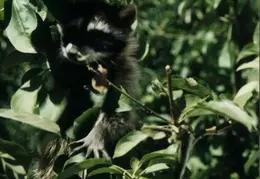 Lindsay Photo Shoot 007