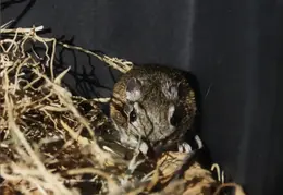 Lindsay Photo Shoot 008