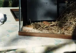 Lindsay Photo Shoot 009