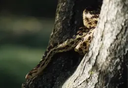 Lindsay Photo Shoot 010