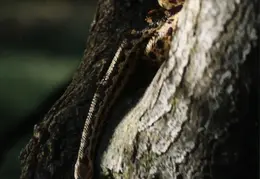 Lindsay Photo Shoot 012