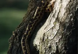 Lindsay Photo Shoot 013