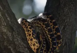 Lindsay Photo Shoot 014