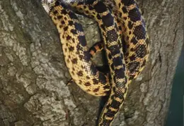 Lindsay Photo Shoot 015