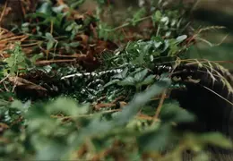 Lindsay Photo Shoot 016