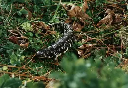 Lindsay Photo Shoot 017