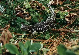 Lindsay Photo Shoot 018