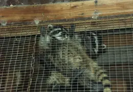 Lindsay Photo Shoot 019