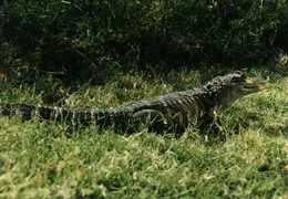 Lindsay Photo Shoot 020