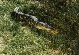 Lindsay Photo Shoot 021