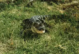 Lindsay Photo Shoot 022