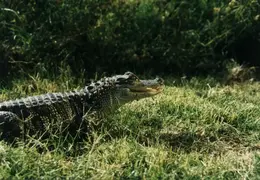 Lindsay Photo Shoot 023