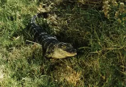 Lindsay Photo Shoot 024