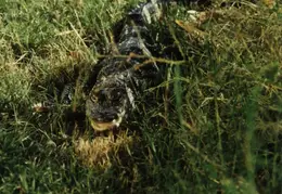 Lindsay Photo Shoot 025