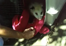 Lindsay Photo Shoot 028