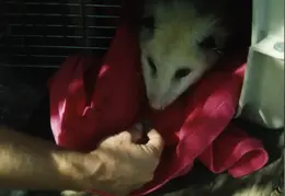 Lindsay Photo Shoot 029