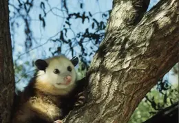 Lindsay Photo Shoot 030