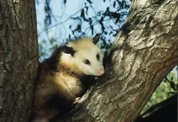 Lindsay Photo Shoot 031