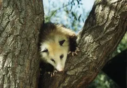 Lindsay Photo Shoot 032