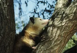 Lindsay Photo Shoot 033