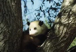 Lindsay Photo Shoot 034