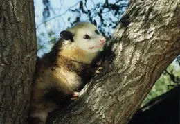 Lindsay Photo Shoot 035