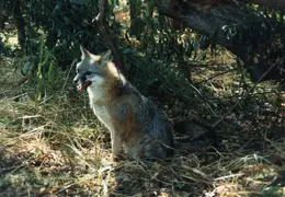 Lindsay Photo Shoot 036