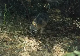Lindsay Photo Shoot 037