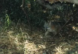 Lindsay Photo Shoot 038