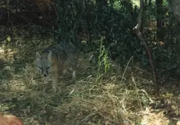 Lindsay Photo Shoot 039