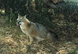 Lindsay Photo Shoot 040