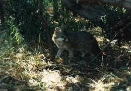 Lindsay Photo Shoot 041