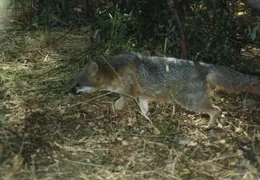 Lindsay Photo Shoot 042