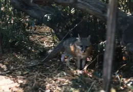 Lindsay Photo Shoot 044