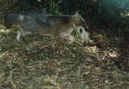 Lindsay Photo Shoot 045