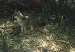 Lindsay Photo Shoot 046