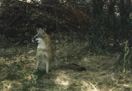 Lindsay Photo Shoot 047