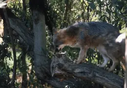 Lindsay Photo Shoot 048