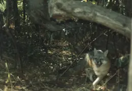 Lindsay Photo Shoot 049