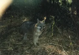 Lindsay Photo Shoot 050