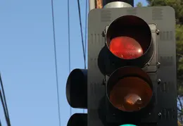 Mourning Dove In StopLight 0005