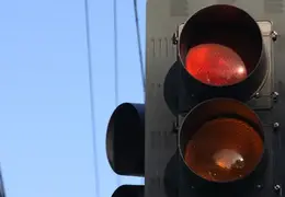 Mourning Dove In StopLight 0006 800