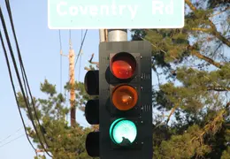 Mourning Dove In StopLight 0012