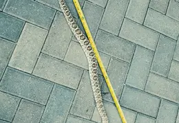 Rattlesnake 20250402 16