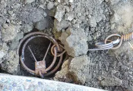 Ground Squirrel October 2014 5