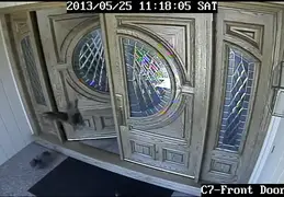 Turkey Chicks Invading House 20130525 06