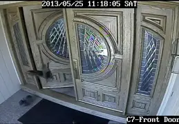 Turkey Chicks Invading House 20130525 06