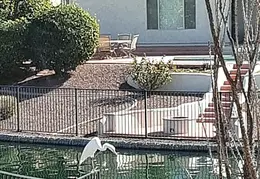 White Egret 20230102 02